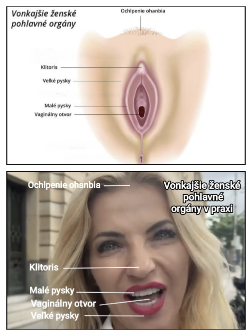 Podobnosť je náhodná
